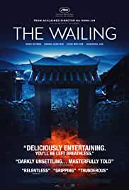 The Wailing 2016 Dual Audio Hindi 480p Filmy4WEB